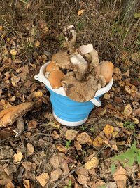 IMG_4077.jpeg