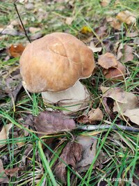 IMG_20250924_125551.jpg