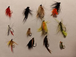 IMG_20250925_222134.jpg