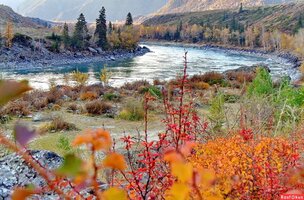 6f091b32-c352-462b-af86-d887cb827827 (1).JPG