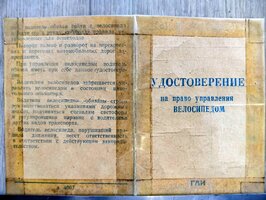 WhatsApp Image 2025-09-27 at 15.56.15.jpeg