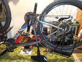 WhatsApp Image 2025-09-30 at 07.58.15.jpeg