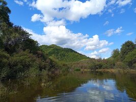 Изображение WhatsApp 2025-09-20 в 13.11.17_3556707f.jpg