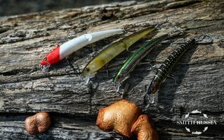 _DSC3355.jpg _DSC3355.jpg