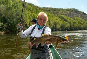 _DSC3727.jpg _DSC3727.jpg