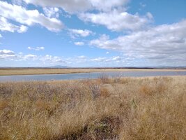 WhatsApp Image 2025-10-06 at 14.02.57.jpeg