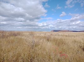 WhatsApp Image 2025-10-06 at 14.02.58.jpeg