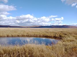 WhatsApp Image 2025-10-06 at 14.02.59.jpeg