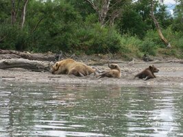 IMG_0326.JPG
