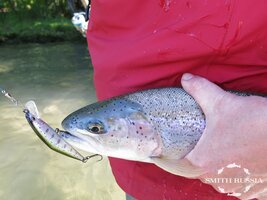 IMG_4088.JPG