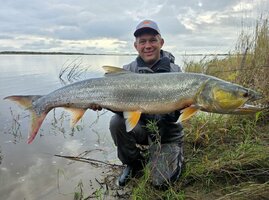 Желтый 15,5.jpg