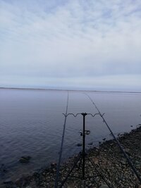 IMG_20251011_111034.jpg