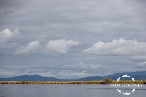 JePmW43bgy77ir-N37-FxmKvNVUZc9uHovuaIEbymBRn6sIp4Luw8IE8FDyZsHzC_n1dL3AEmCyKFAbrEZ9noeHI.jpg