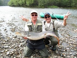 IMG_0218.JPG IMG_0218.JPG