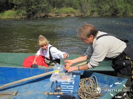 IMG_0381.JPG IMG_0381.JPG