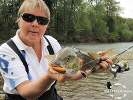 IMG_0497.JPG IMG_0497.JPG