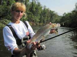 IMG_0396.JPG IMG_0396.JPG