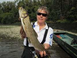 IMG_0503.JPG IMG_0503.JPG