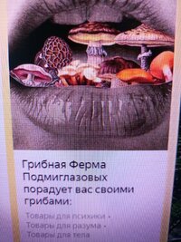 IMG_20251024_111849_010.jpg