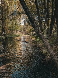 6CxEWnlfiWU-IELTG9ScpcZqRVYlyVKYU5sy7LNJwocXLEmMAgWhXv9oKsmpTHMc6L1LNmi4PIN2GjRBETKvKZJ0.jpg 6CxEWnlfiWU-IELTG9ScpcZqRVYlyVKYU5sy7LNJwocXLEmMAgWhXv9oKsmpTHMc6L1LNmi4PIN2GjRBETKvKZJ0.jpg