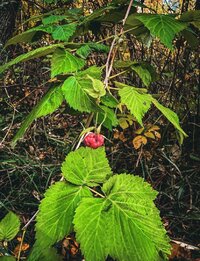 hZxDmpXqk6Ibtj-zKa2ggAPPHyr2v-G_kfr6DwZ7AfggbSrIA-PNHWj-wjA_4JVy5aPOzIuWrkIJnfVB5QLQCqPF.jpg hZxDmpXqk6Ibtj-zKa2ggAPPHyr2v-G_kfr6DwZ7AfggbSrIA-PNHWj-wjA_4JVy5aPOzIuWrkIJnfVB5QLQCqPF.jpg