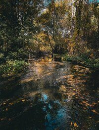 qbqbHOifCcqeDj50h34ASZ2dQpDlQGffjQuSfs29_OwPOnrH01oF3G2SydpDcTfi0AAJPK_WrTGYswH1FK8OY_6u.jpg qbqbHOifCcqeDj50h34ASZ2dQpDlQGffjQuSfs29_OwPOnrH01oF3G2SydpDcTfi0AAJPK_WrTGYswH1FK8OY_6u.jpg