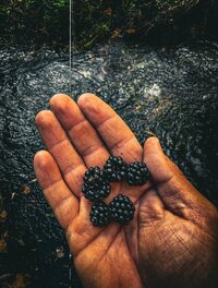 QyGdmbkwyNzIxk7ixSD05ErcgUDbXgCtdS8uvcyVjSUIKzkjTqGZiZl6ZqXOGZyvVcNwuZy-wr7eI4m5ujnvZkkh.jpg QyGdmbkwyNzIxk7ixSD05ErcgUDbXgCtdS8uvcyVjSUIKzkjTqGZiZl6ZqXOGZyvVcNwuZy-wr7eI4m5ujnvZkkh.jpg