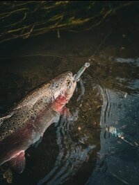 s1cMq6Qyf5IIdEGDM47FJVrau3E_paCfB3rkB785iQiydKYrJi7j1F2wo6vKmWzoiHHMePFkLc3BOAuGKpb8PtbZ.jpg s1cMq6Qyf5IIdEGDM47FJVrau3E_paCfB3rkB785iQiydKYrJi7j1F2wo6vKmWzoiHHMePFkLc3BOAuGKpb8PtbZ.jpg