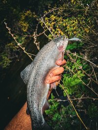 SWt-Y5o-14LprootB4zePDqgSbq1eSp-Q2UR2Lh-sxqY92YyRzPyMeoENGsG4PgPW4id0dKNq62NSP5ZiqiIg08I.jpg SWt-Y5o-14LprootB4zePDqgSbq1eSp-Q2UR2Lh-sxqY92YyRzPyMeoENGsG4PgPW4id0dKNq62NSP5ZiqiIg08I.jpg