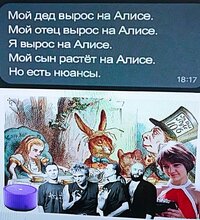 алиса.jpg
