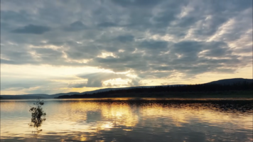 Снимок экрана 2025-11-23 203234.png