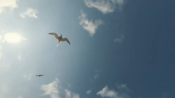 Снимок экрана 2025-11-23 203733.png