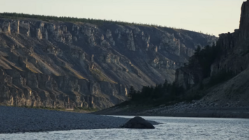 Снимок экрана 2025-10-29 224103.png