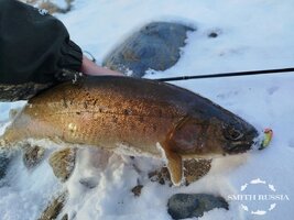 _MxofTFMuDJmCPTSaXn_Hl-lrVbz2tTEe4kq95flXzt3WjIffC4FN4Uef-YSZDZCqg77AtFg1gVMv6I5qlyJXB6C.jpg _MxofTFMuDJmCPTSaXn_Hl-lrVbz2tTEe4kq95flXzt3WjIffC4FN4Uef-YSZDZCqg77AtFg1gVMv6I5qlyJXB6C.jpg