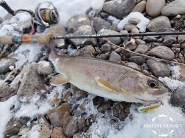 _wz72d1EKwFVxZIYl11WQwFYy5dEq0lUIjOuIXkg-Ml53C3bGThPAe91KnFut8F_QrLnYrOF4cU2mzRtrTFo2tDa.jpg _wz72d1EKwFVxZIYl11WQwFYy5dEq0lUIjOuIXkg-Ml53C3bGThPAe91KnFut8F_QrLnYrOF4cU2mzRtrTFo2tDa.jpg