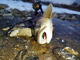 o1Zc_f-VY2eYKKcJU1gdCS0z-q96kCVBREFydDujmVht7LiBcaVF8TPqazi71MVw8BnxkI4ibK1s9H7I7UoZUMO3.jpg o1Zc_f-VY2eYKKcJU1gdCS0z-q96kCVBREFydDujmVht7LiBcaVF8TPqazi71MVw8BnxkI4ibK1s9H7I7UoZUMO3.jpg