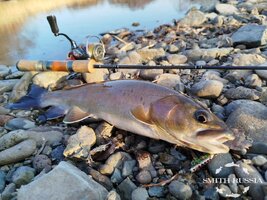 RzLwb5Jh_FjsgROdwIHsWHGkDsI8CMfGMsn3w-dxPNbipMr3VobaET4xJnBRtmHtgc7duZEYvTl-5V1rN4Q7FGYa.jpg RzLwb5Jh_FjsgROdwIHsWHGkDsI8CMfGMsn3w-dxPNbipMr3VobaET4xJnBRtmHtgc7duZEYvTl-5V1rN4Q7FGYa.jpg