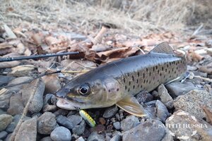 sh5yoqmjuTI-AuwbSfxV4ui2O8e61btfGqa4a9KMZ8KfupYgQvXbgXgfDxXzuKw9bd6acqKrJQ6rFLAFKGv0HY8P.jpg sh5yoqmjuTI-AuwbSfxV4ui2O8e61btfGqa4a9KMZ8KfupYgQvXbgXgfDxXzuKw9bd6acqKrJQ6rFLAFKGv0HY8P.jpg