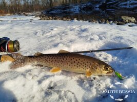 U5QzU76zwyBQR-ioirH84nM36wg64N8bLtoClHPVOl7m5Fuo6noDTd_7DD5bcVlOVwtsZnm6QbgxqOW_iiZJtiy9.jpg U5QzU76zwyBQR-ioirH84nM36wg64N8bLtoClHPVOl7m5Fuo6noDTd_7DD5bcVlOVwtsZnm6QbgxqOW_iiZJtiy9.jpg