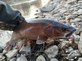 YACMoeRriogHGmnRkXCzuJVC07T8yBVvwC3MASBTtrpnTy_hqnfH7ZhB_MUMLkPwYcGMxqvpXpdAfyCh3JkH1Oi2.jpg YACMoeRriogHGmnRkXCzuJVC07T8yBVvwC3MASBTtrpnTy_hqnfH7ZhB_MUMLkPwYcGMxqvpXpdAfyCh3JkH1Oi2.jpg