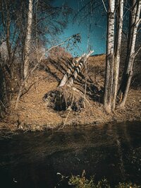 5vXToMcWmasrzFIeN71NylboCB-aT2LljllRZkEhUAUVIX96gRCStlmyHjUPRls0N0S0ei86KTC5medx1nUe9-QD.jpg 5vXToMcWmasrzFIeN71NylboCB-aT2LljllRZkEhUAUVIX96gRCStlmyHjUPRls0N0S0ei86KTC5medx1nUe9-QD.jpg