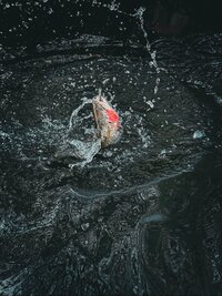 dP3ww0Eb5D87QJT_zeqe7wqC74qCgPpw5O9K3_EKFsyN-slIJDfmKM6Rl7iOqR4ILPDEeUZbp1oqd0GSeOISn0iW.jpg dP3ww0Eb5D87QJT_zeqe7wqC74qCgPpw5O9K3_EKFsyN-slIJDfmKM6Rl7iOqR4ILPDEeUZbp1oqd0GSeOISn0iW.jpg