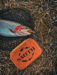 MW9YYbN6vkGiviPB7Je6-tBQO9IO9CLbvqWfe_hXujNyhrgMREY7cbcVisfL-q3EH6-vllCRyQ73PYd8j9LqMRuS.jpg MW9YYbN6vkGiviPB7Je6-tBQO9IO9CLbvqWfe_hXujNyhrgMREY7cbcVisfL-q3EH6-vllCRyQ73PYd8j9LqMRuS.jpg