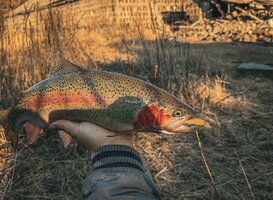 sp-F224Z-K5GJZIGZnhj5ckuV4HN8rRbmr17ZavLWz8AdVb0Jl6PEEgskltteJBrmoW95CMVU7NRhTwGkPNWH3s0.jpg sp-F224Z-K5GJZIGZnhj5ckuV4HN8rRbmr17ZavLWz8AdVb0Jl6PEEgskltteJBrmoW95CMVU7NRhTwGkPNWH3s0.jpg