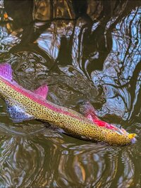 tdKFt1VqJSeB3cBt2GaRQsHibFmIBkBKyjs7tdKgUAZjTFGT82BP1SOmeqYQknQHKlzxuMntbtO3uO5wIBZfhOT_.jpg tdKFt1VqJSeB3cBt2GaRQsHibFmIBkBKyjs7tdKgUAZjTFGT82BP1SOmeqYQknQHKlzxuMntbtO3uO5wIBZfhOT_.jpg