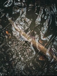 xwv_Zu1N_kLgVSHPaAA66rRSOnQ5cpTvK_YLJwiqWejSzfJ4pQAfxGk4H1Z6hqmH3iSngAZ5gQciNRf4DskHegvl.jpg xwv_Zu1N_kLgVSHPaAA66rRSOnQ5cpTvK_YLJwiqWejSzfJ4pQAfxGk4H1Z6hqmH3iSngAZ5gQciNRf4DskHegvl.jpg