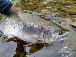 JNP3OT8RfzWkJdbZbgKEvtzy7_7V7wJr1AJhbi-EQEBedthrC4VT1qBa_R1vZOYOr5PkRLK9loH2RpBYEc8kSBAF.jpg JNP3OT8RfzWkJdbZbgKEvtzy7_7V7wJr1AJhbi-EQEBedthrC4VT1qBa_R1vZOYOr5PkRLK9loH2RpBYEc8kSBAF.jpg