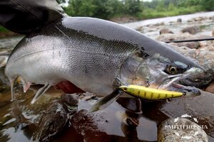 P6173438.JPG P6173438.JPG