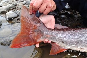 y5qQE_fT5alJ7evOMgAuExvfuPa--9QRwfhDmzkovhyzTk7kU0_W4dkylGpkTXveSIeivBDCW5qL-Dk4ts215Cv8.jpg y5qQE_fT5alJ7evOMgAuExvfuPa--9QRwfhDmzkovhyzTk7kU0_W4dkylGpkTXveSIeivBDCW5qL-Dk4ts215Cv8.jpg