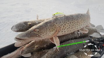 2020-12-24 16-37-29.JPG